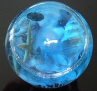 Photo bougie gel décorative Fond marin